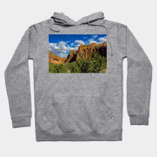Zion National Park Hoodie